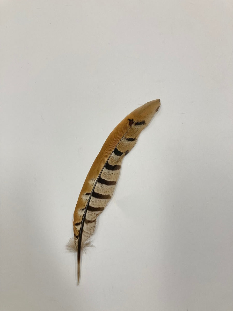 Light Hat Feather 02866