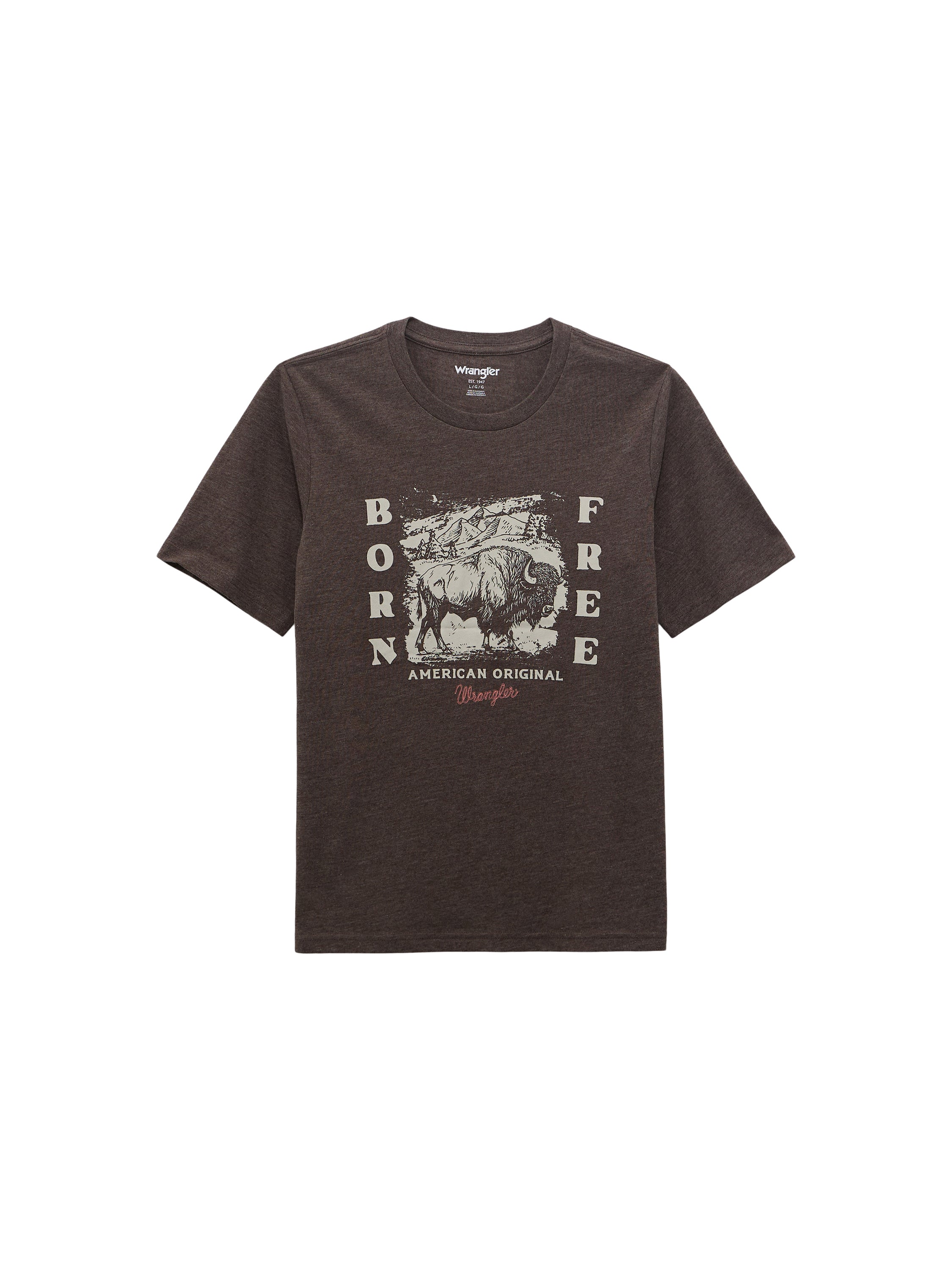 Wrangler Mole Heather Boy's Logo Front Graphic Short Sleeve T-Shirt 112368707