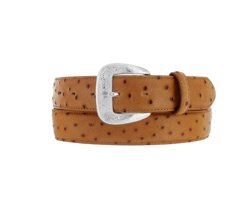 Tony Lama Brown Ostrich Print Dress Belt 1377L