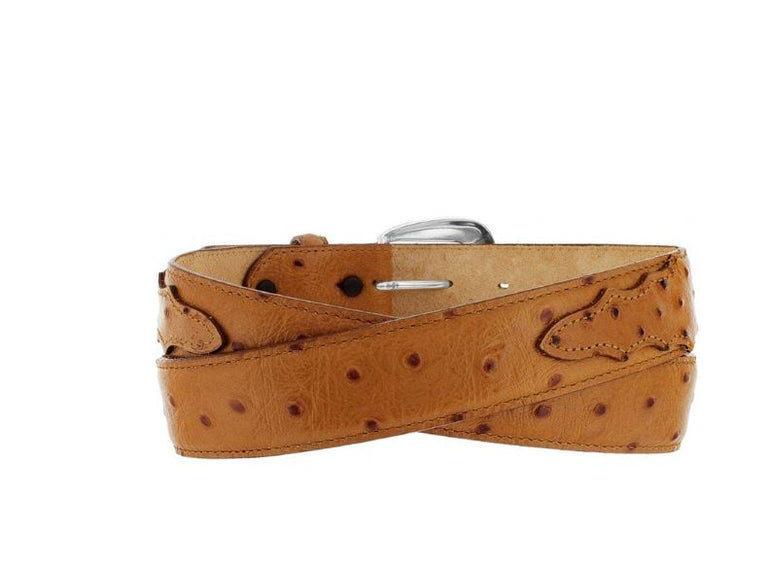 ostrich dress belt Custom Grey Full Quill Body Leather Stainless Steel Buckle Just for information Tony Lama Men's Ostrich Print