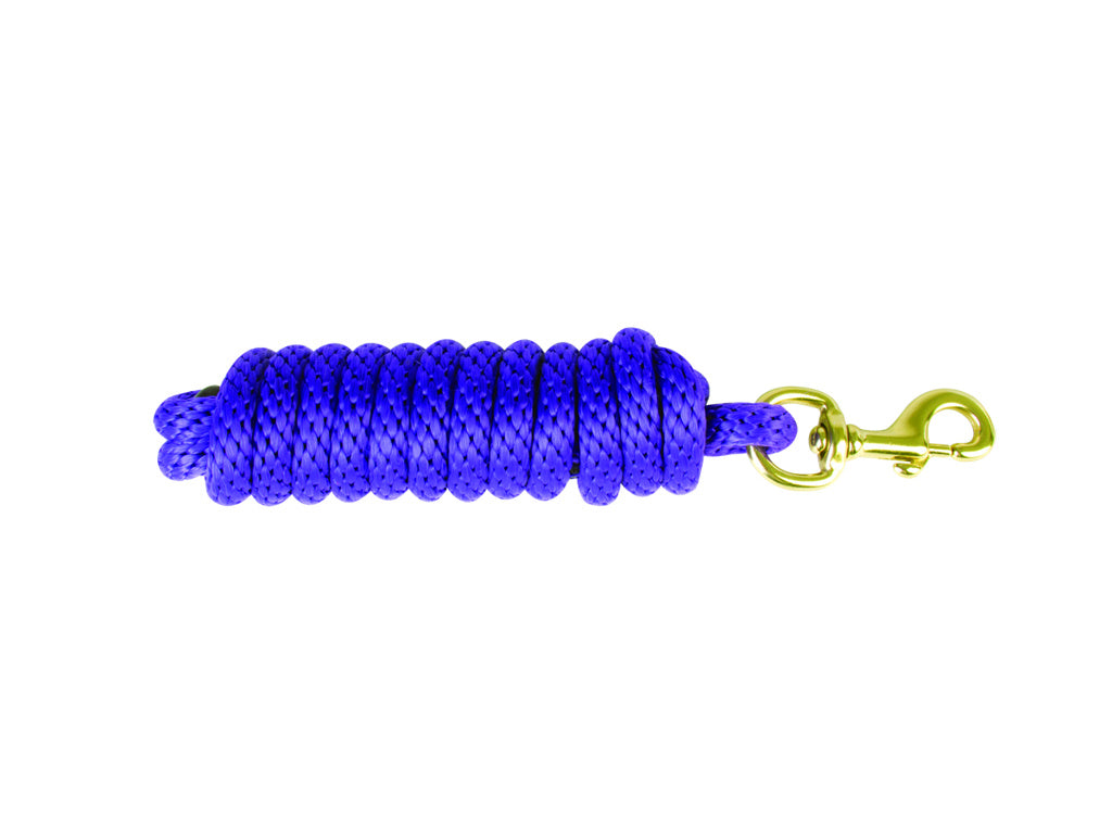 Aime Imports Purple 10 ft Poly Lead/EB Snap 168539PP