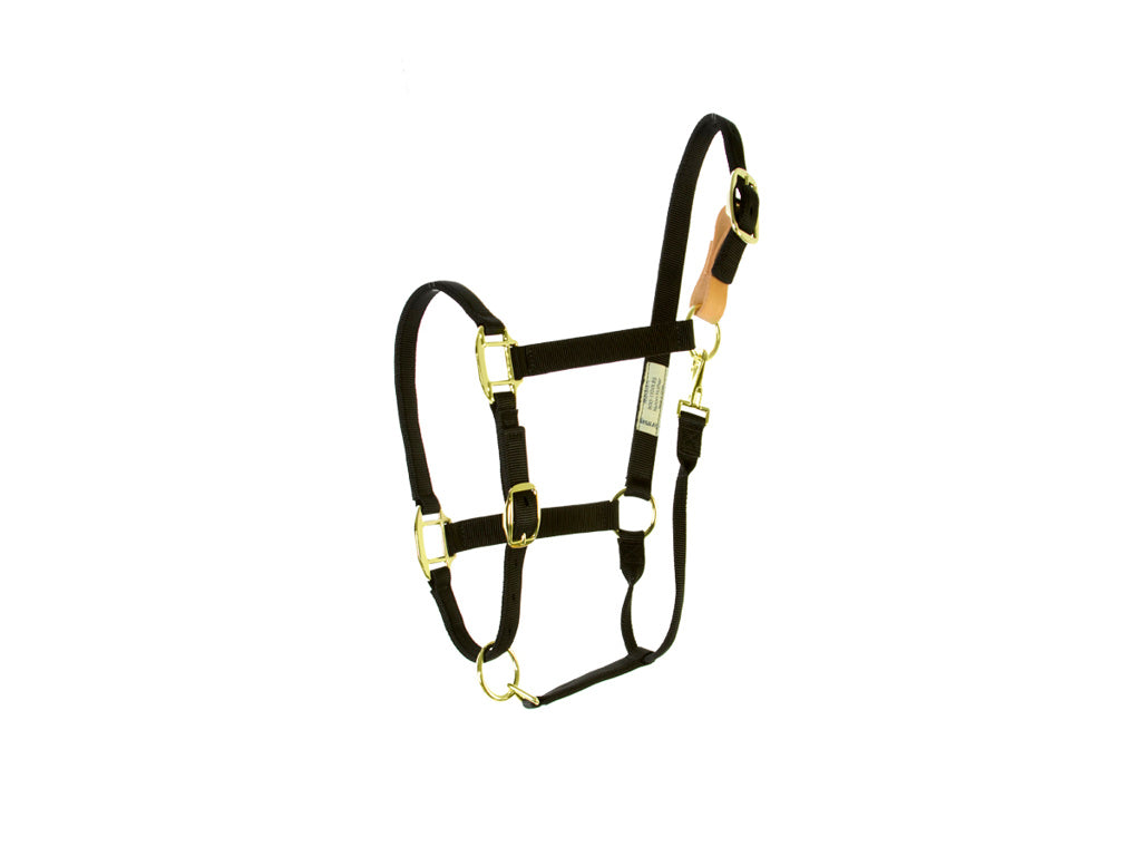 Aime Imports Black Breakaway Nylon Halter 197361-M-BK
