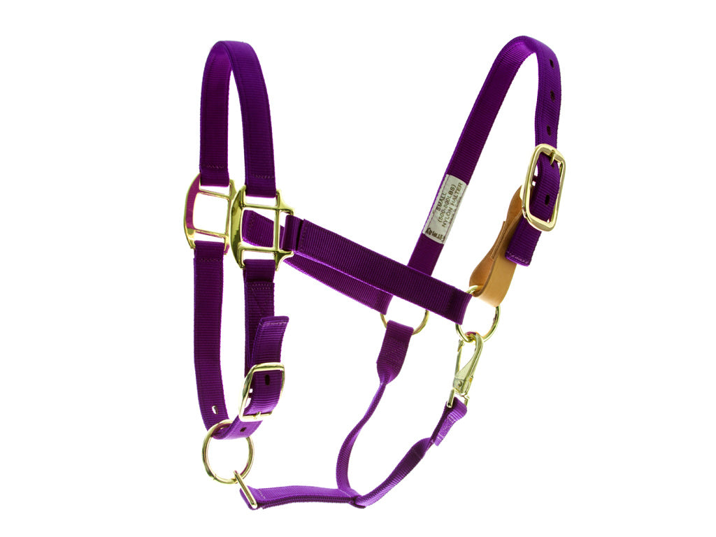 Aime Imports Purple Breakaway Halter 197361-M-PP