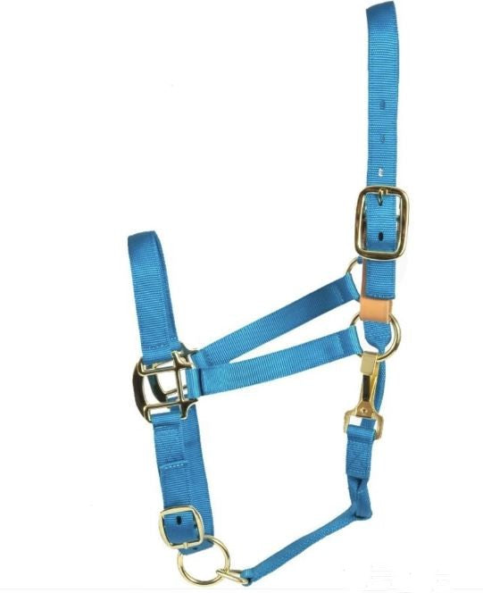 Aime Imports Turquoise Deluxe Breakaway Fuse Halter 197361-M-TQ