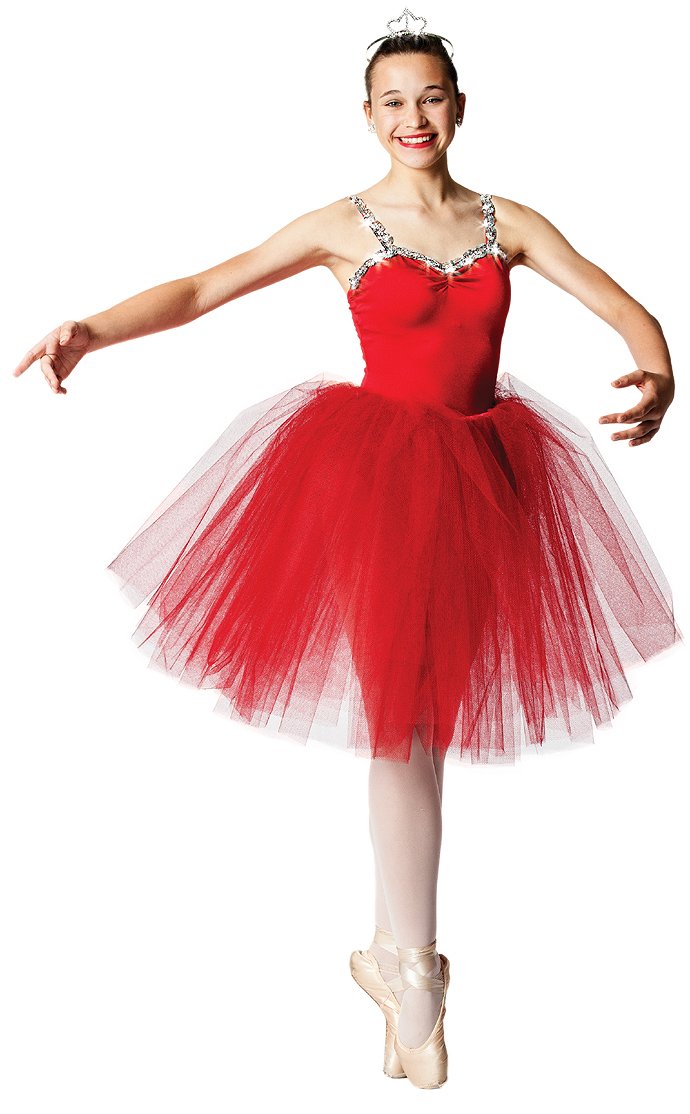 502A LONG NET TUTU Adult Sizes