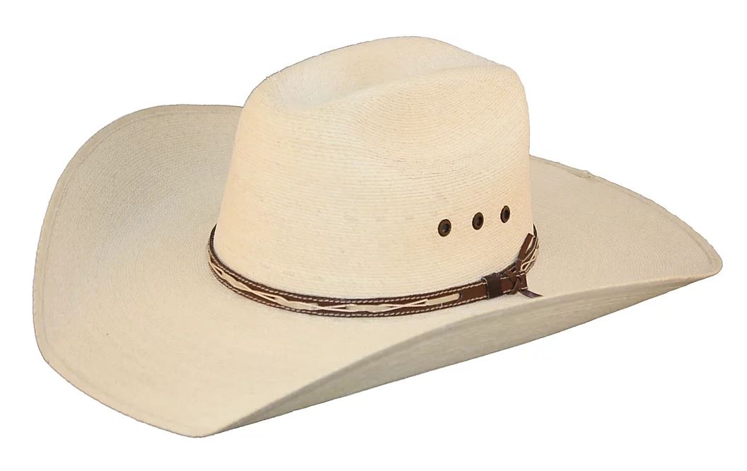 Hat Biz Straw With Brown Hat Band Hale Western Hat 4APL