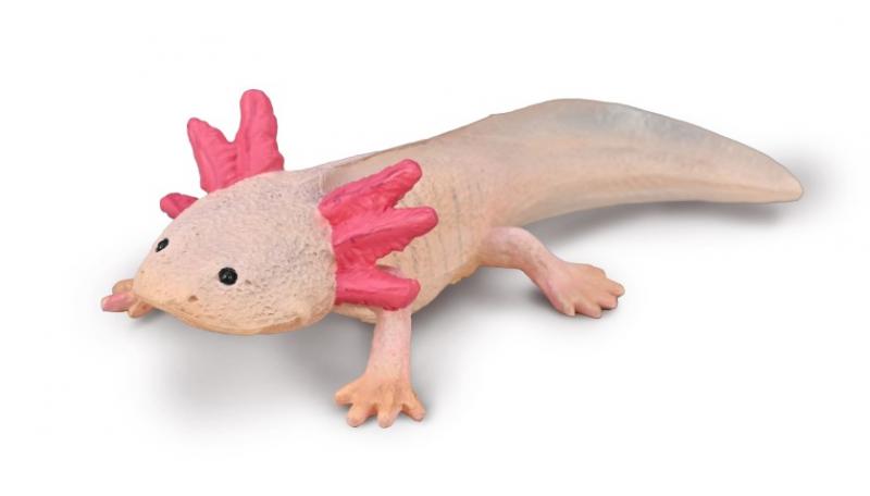 Breyer by CollectA Axolotl 80015