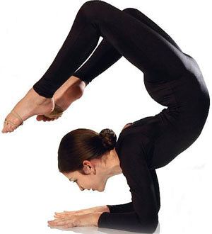 810A Lycra Long Sleeve Scoop Neck Unitard Many Colors Available