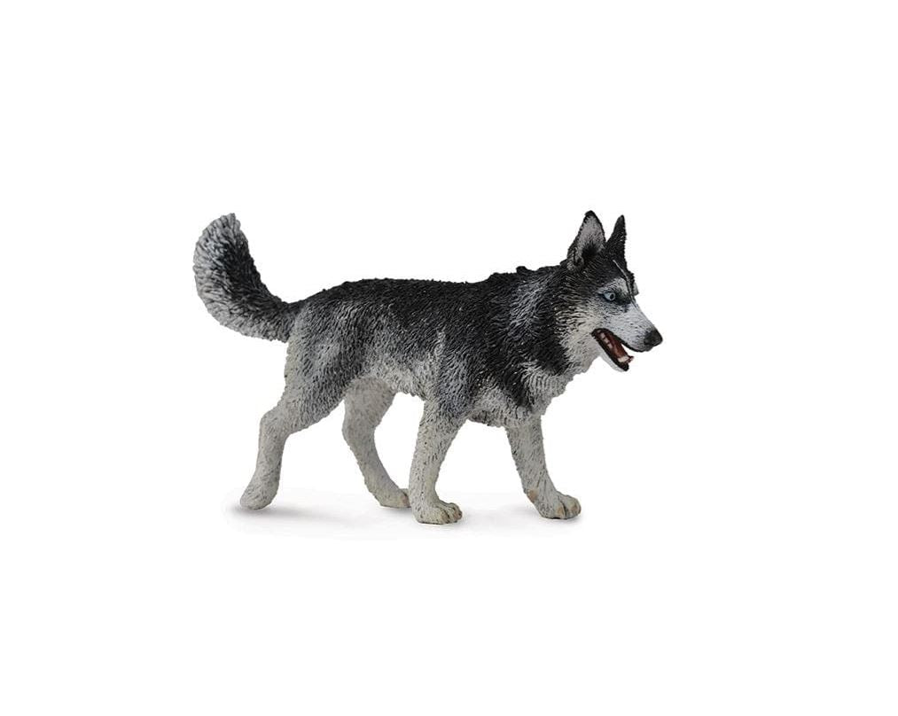 Breyer by CollectA Siberian Husky 88707