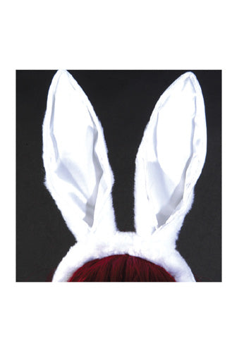 HP-31 Bunny Ears