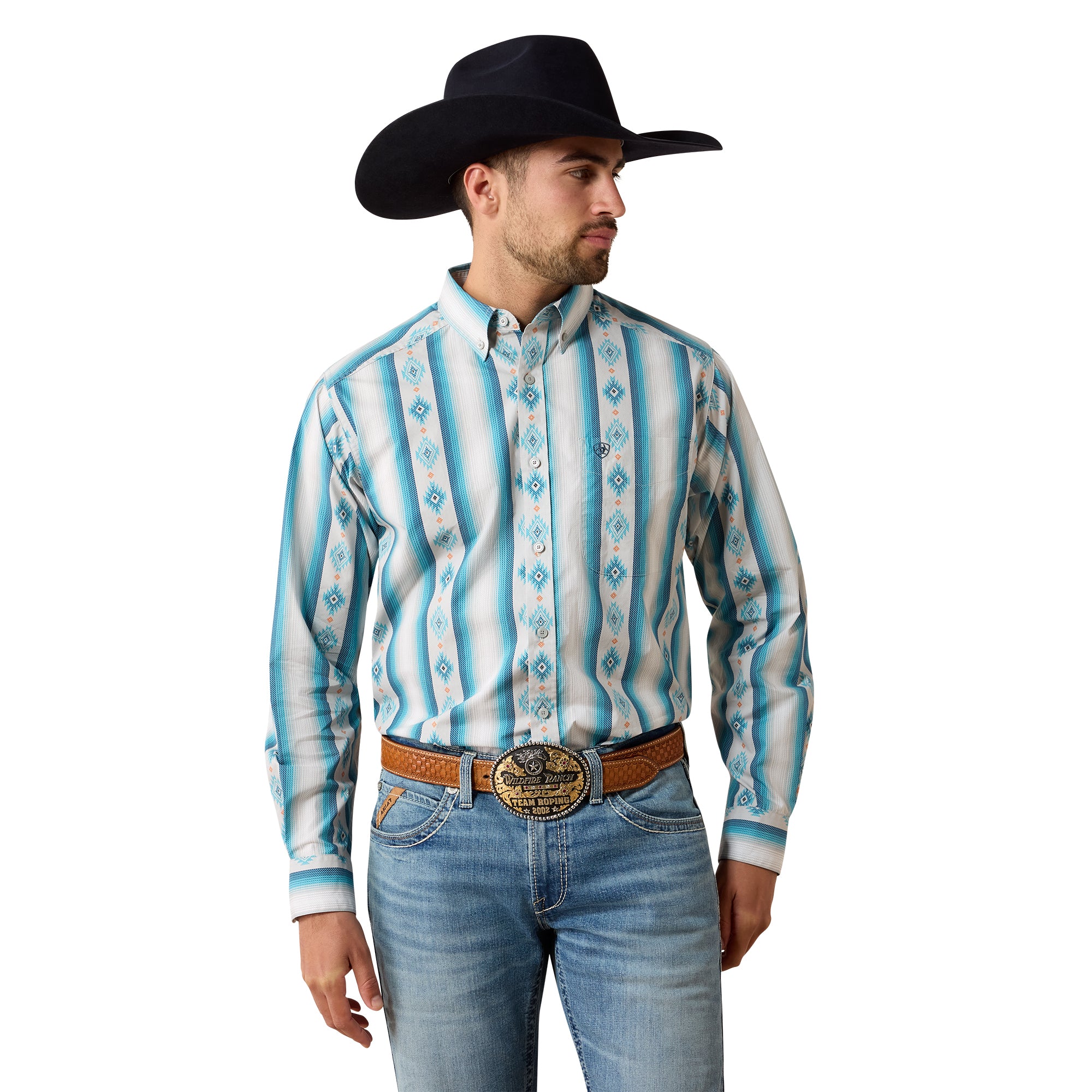 Ariat Grey Multi Serape Stripe Powers Men's Collared Classic Fit Longsleeve Shirt 10079602