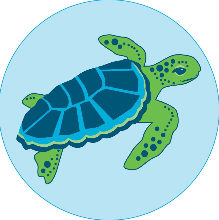 Bogg Sea Turtle Bit