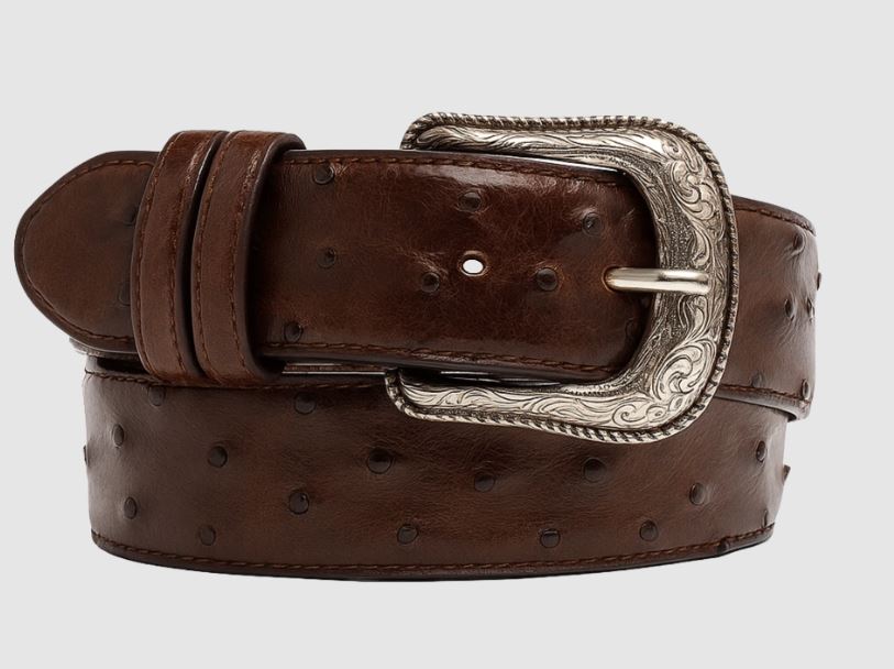 Cowtown Chocolate Ostrich Print Men's Belt H6073