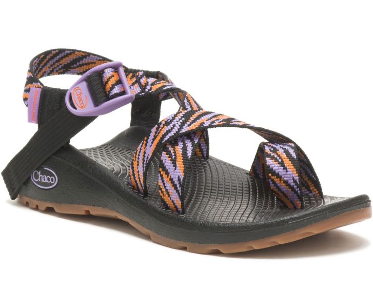 Chaco Wily Violet Z/Cloud 2 Womens Sandals JCH109034