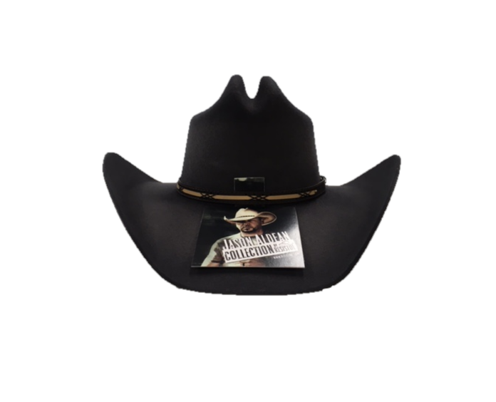 Resistol Granite Gray Jason Aldean Rearview Town Felt Cowboy Hat RWRVTW-JA4149
