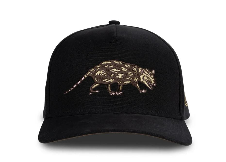Sendero Black Opossum Hat SPCH125S34BZZ
